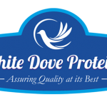 whitedoveproteins.in